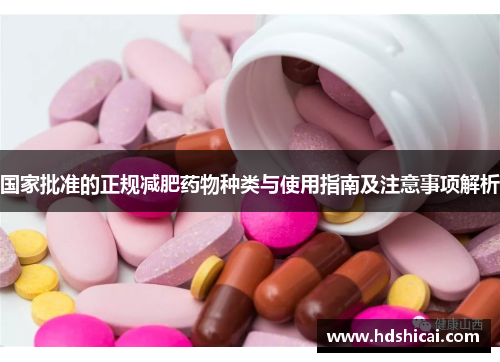 国家批准的正规减肥药物种类与使用指南及注意事项解析