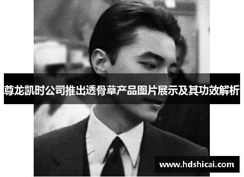 尊龙凯时公司推出透骨草产品图片展示及其功效解析
