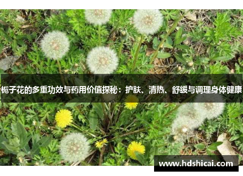 栀子花的多重功效与药用价值探秘：护肤、清热、舒缓与调理身体健康